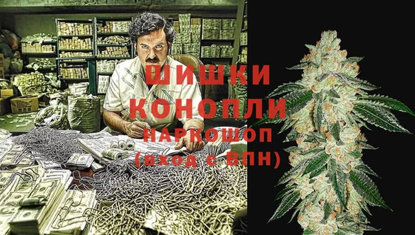стафф Зерноград