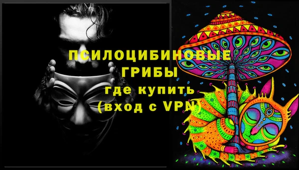 стафф Зерноград