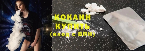 стафф Зерноград