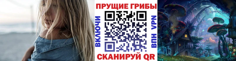 Галлюциногенные грибы Cubensis  Купить где  Гуково 