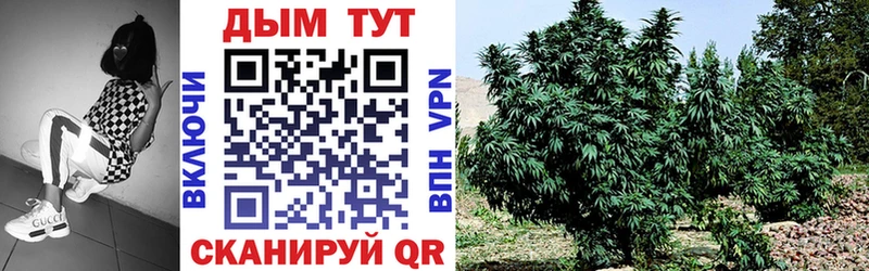 Купить где  Гуково  МАРИХУАНА LSD WEED 